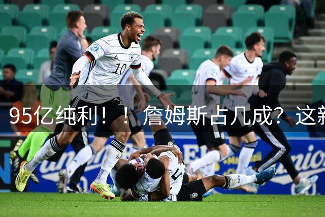 95亿纯利！！詹姆斯占几成？这新业务扩张太快了！